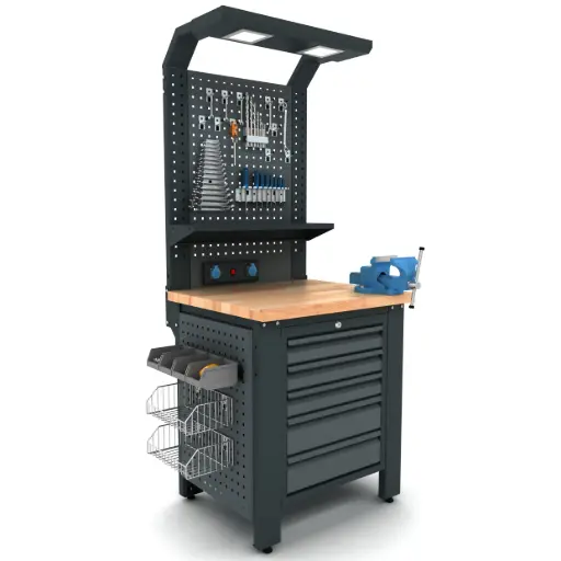 Proline Plus+ Combo 0801