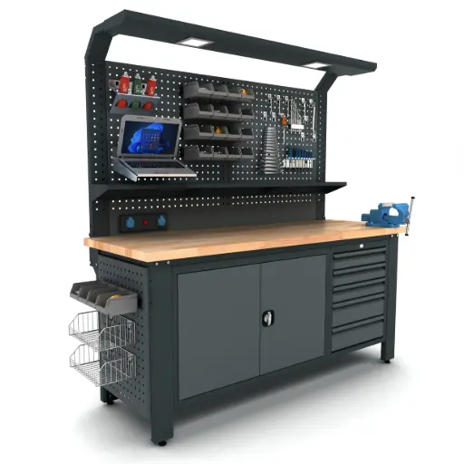 Proline Plus+ Combo 1901